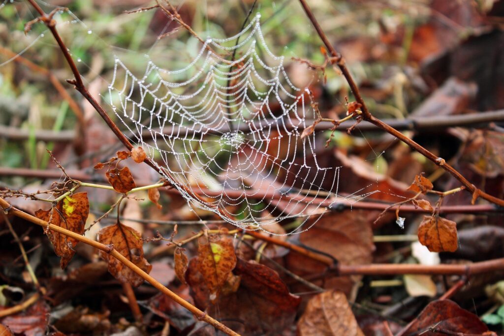 Bestellrunde November