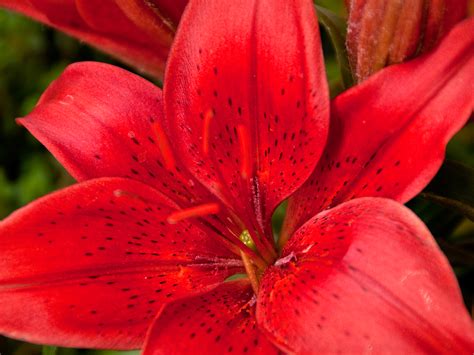 Workshop „Kommunikation und Kooperation in einem gemeinschaftlichen Netzwerk“