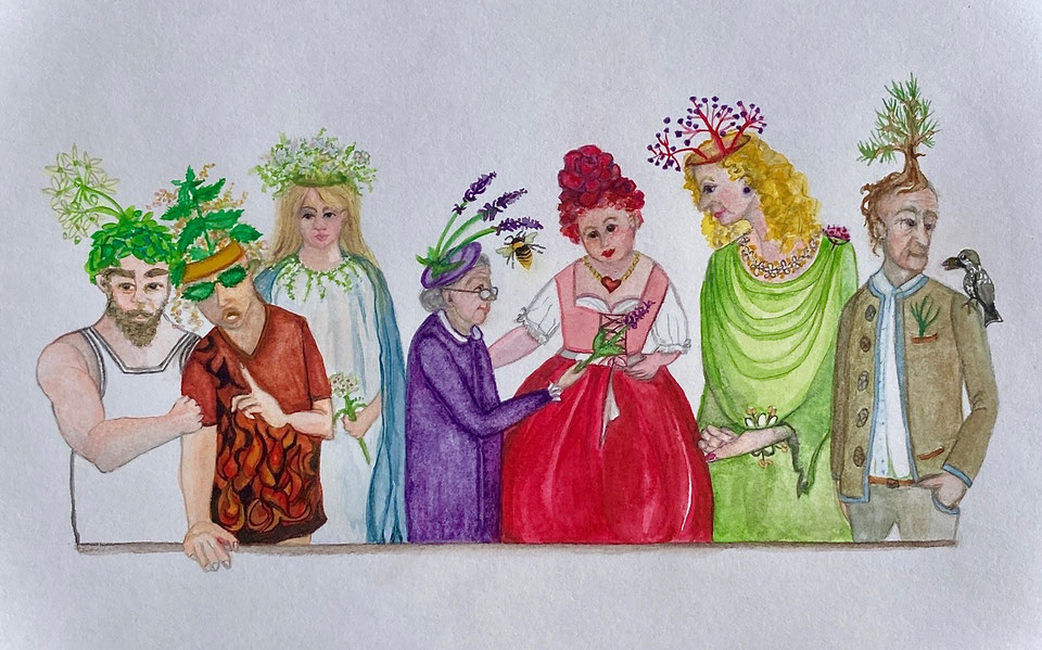 Aromatisches Pflanzen Palaver