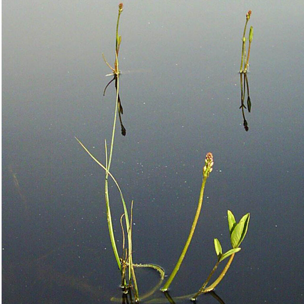 Workshop „Zukunftsgemeinschaft(en)“ in Winterthur
