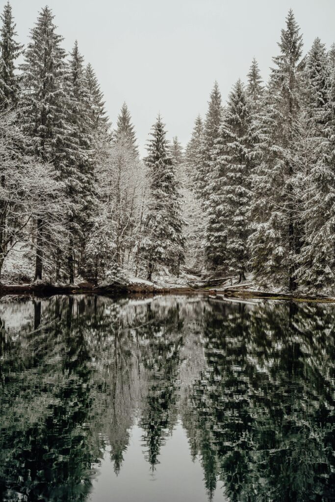 Schöne Weihnachten!